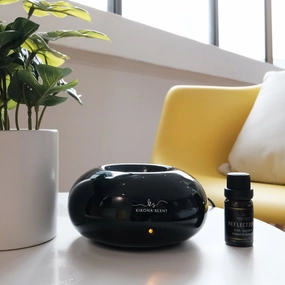 Grab It Before Gone Aromatic Pond Electric Burner (Black)