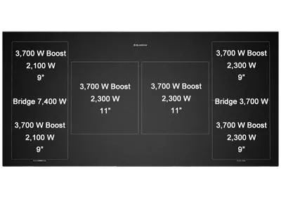 Bluestar BSPIR486Z 48" Platinum Induction