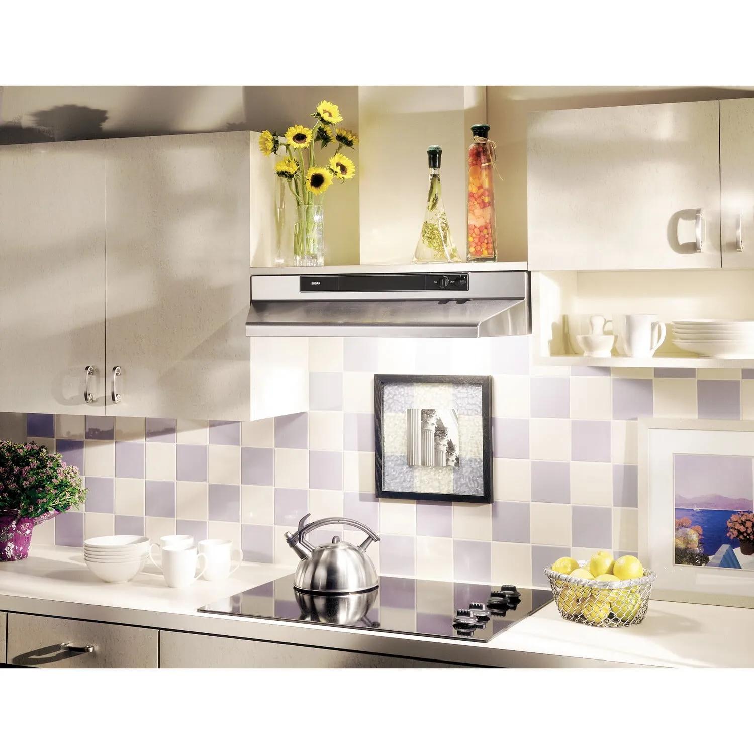 Broan 462404 Broan? 24-Inch Convertible Under-Cabinet Range Hood, 220 Cfm, Stainless Steel