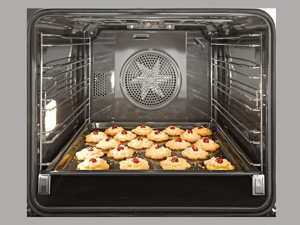 Miele H6560BP H 6560 Bp Am 24 Inch Convection Oven With Airclean Catalyzer And Roast Probe For Precise Cooking.