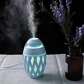 Flash Deal Alert Portable Olive Humidifier