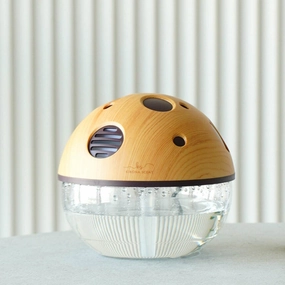 Daily Deal Frenzy Flash Discount Today Enchanting Mushroom Air Purifier